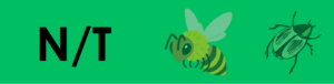 n t