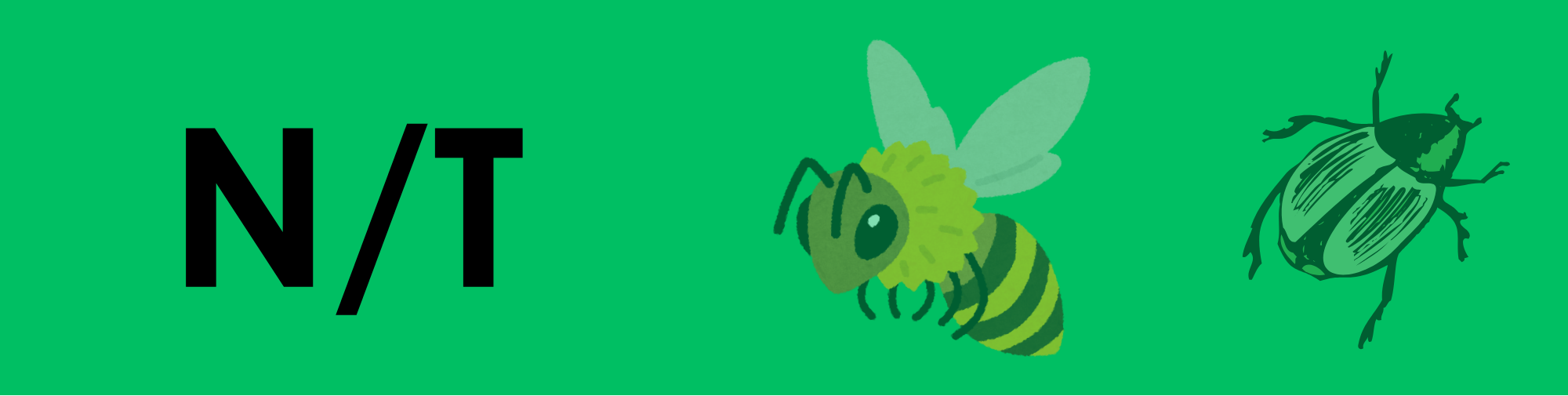 n t