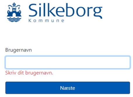 Lokalt login Skaermbillede 2025 06 29 211022