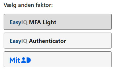 Lokalt login Skaermbillede 2025 06 29 211122
