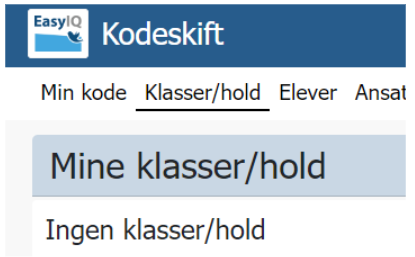 Lokalt login Skaermbillede 2025 06 29 211221