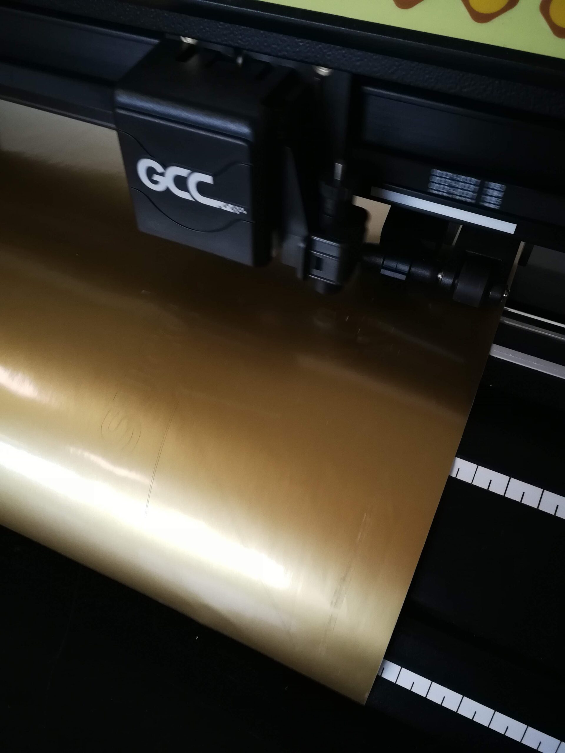 CCG Expert II i Greatcut IMG 20190220 115802 Scaled